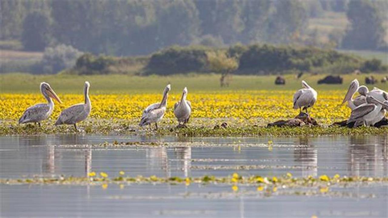 ΠΑΣΧΑ ΣΤΗΝ ΚΕΡΚΙΝΗ