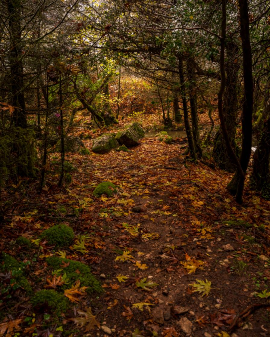 Πεζοπορία στο ΜAINALON TRAIL