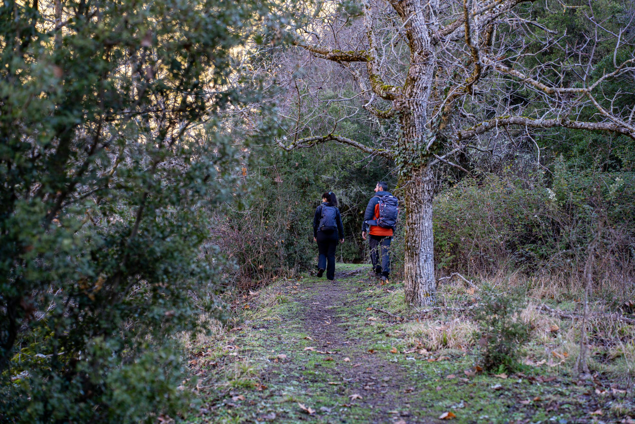 Πεζοπορία στον ΠΑΡΝΩΝΑ : Μονή Μαλεβής- Άγιος Πέτρος Κυνουρίας