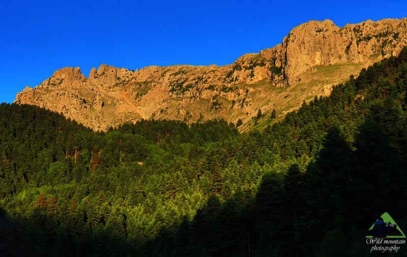 Πεζοπορία στο ΞΗΡΟΒΟΥΝΙ & ΚΕΡΑΣΟΡΕΜΑ ΕΥΒΟΙΑΣ