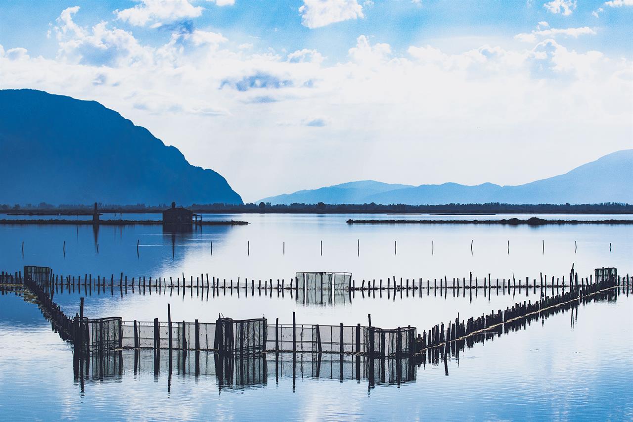 25η ΜΑΡΤΙΟΥ ΣΤΗΝ ΙΕΡΗ ΠΟΛΗ ΜΕΣΟΛΟΓΓΙΟΥ