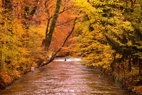 ΧΡΙΣΤΟΥΓΕΝΝΙΑΤΙΚΕΣ ΑΓΟΡΕΣ  ΣΤΗΝ ΑΘΗΝΑ ΤΟΥ ΙΖΑΡ