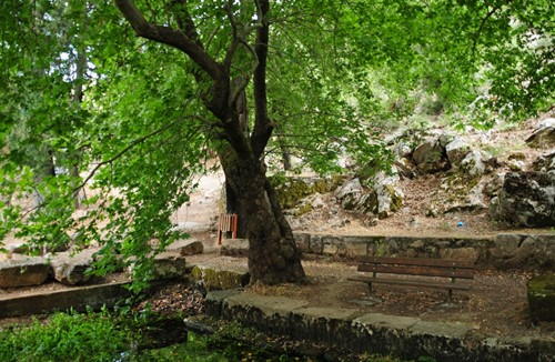 25η ΜΑΡΤΙΟΥ ΓΡΑΒΙΑ-ΠΟΛΥΔΡΟΣΟΣ-ΜΕΤΑΛΛΕΥΤΙΚΟ ΠΑΡΚΟ ΦΩΚΙΔΑΣ