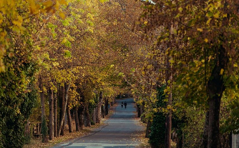 Πεζοπορία στο ΜAINALON TRAIL