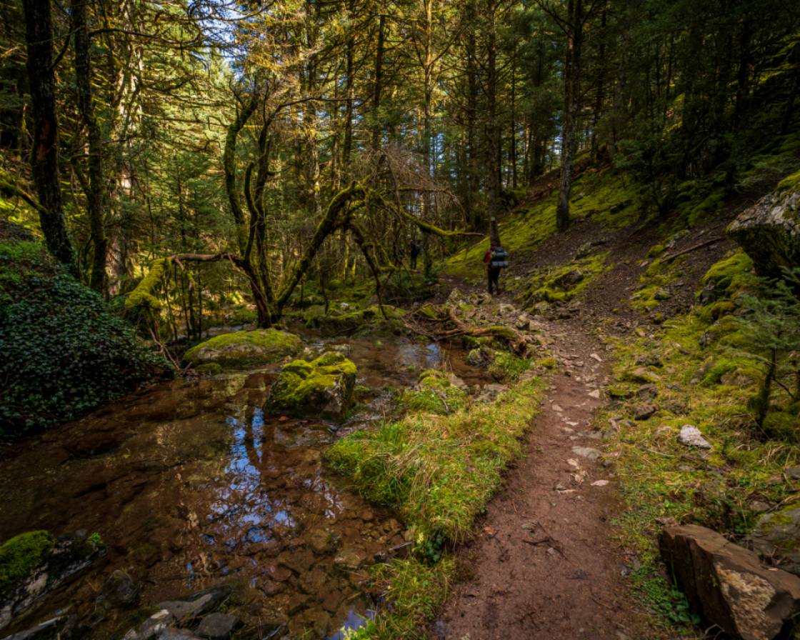 Πεζοπορία στο ΜAINALON TRAIL