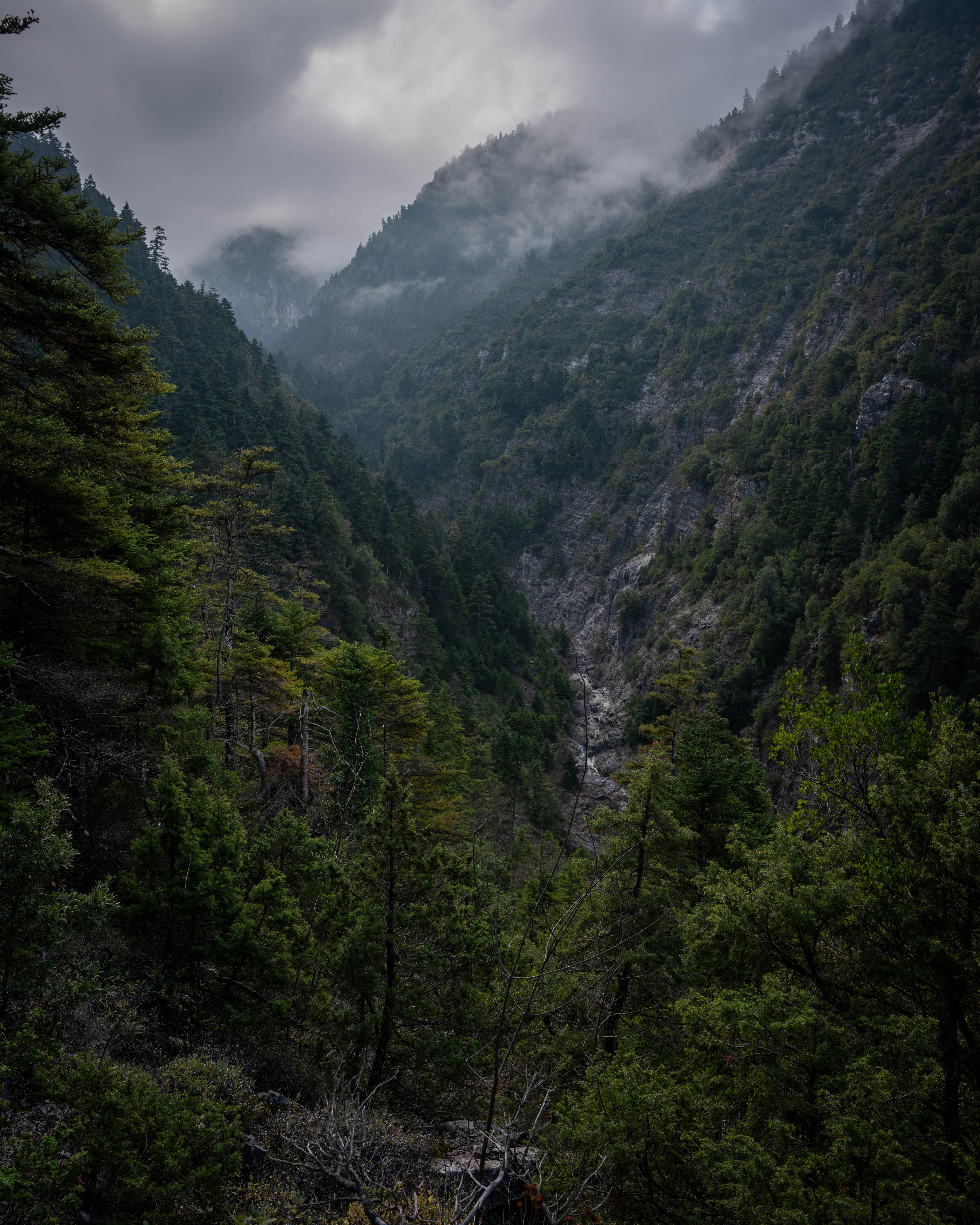 Πεζοπορία στον ΠΑΡΝΑΣΣΟ