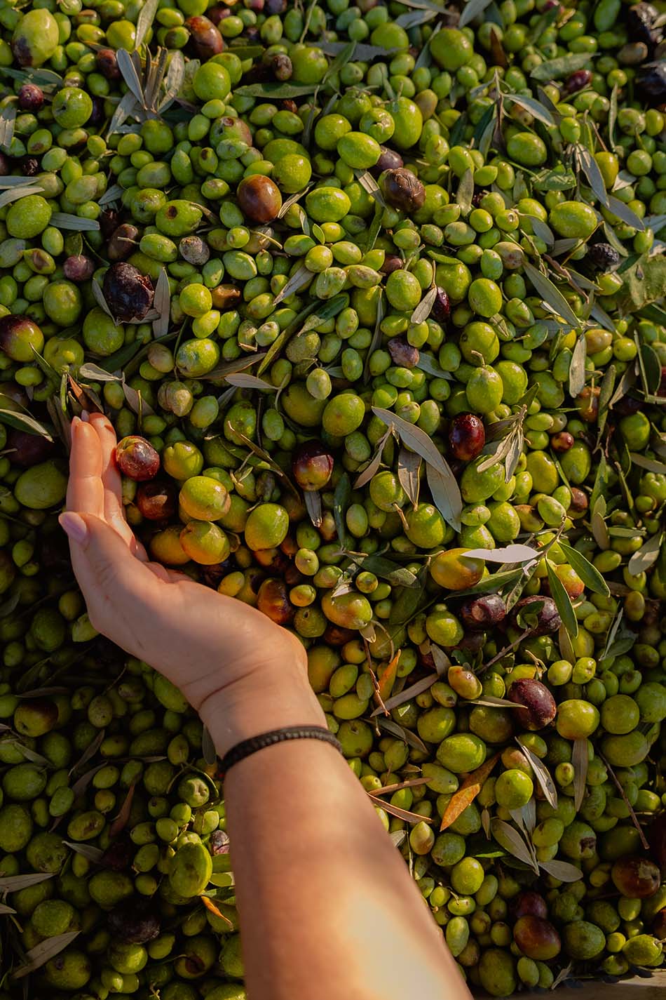 ΛΑΛΕΡΙ Food Festival !