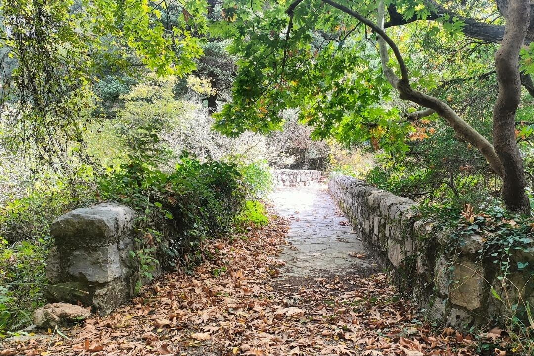 Πεζοπορία στο ΜAΙΝΑΛΟ