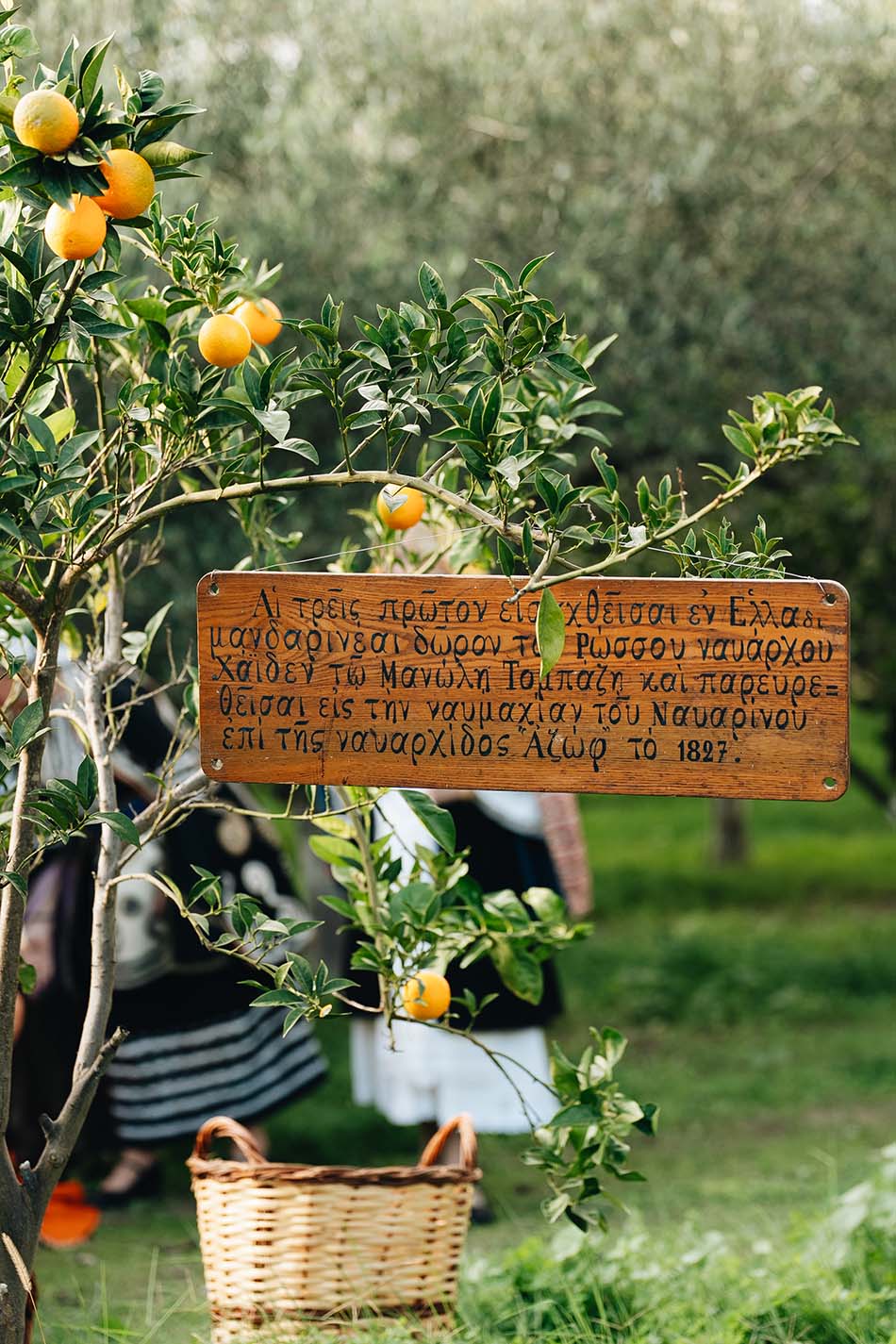 ΛΑΛΕΡΙ Food Festival !