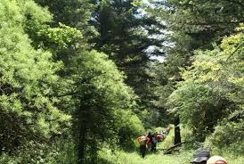 Πεζοπορία  στην ΔΗΜΗΤΣΑΝΑ-ΦΑΡΑΓΓΙ ΛΟΥΣΙΟΥ-ΜΟΝΗ ΠΡΟΔΡΟΜΟΥ