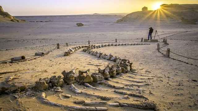 ΚΑΪΡΟ -GEM-ΑΛΕΞΑΝΔΡΕΙΑ- ΚΡΟΥΑΖΙΕΡΑ ΣΤΟΝ ΝΕΙΛΟ