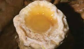 ΝΕΑΠΟΛΗ-ΜΟΝΕΜΒΑΣΙΑ-ΕΛΑΦΟΝΗΣΟΣ-ΠΛΥΤΡΑ- ΛΙΜΗΝ ΙΕΡΑΚΑ-ΚΥΠΑΡΙΣΣΙ-ΑΣΤΡΟΣ