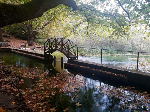 25η ΜΑΡΤΙΟΥ ΓΡΑΒΙΑ-ΠΟΛΥΔΡΟΣΟΣ-ΜΕΤΑΛΛΕΥΤΙΚΟ ΠΑΡΚΟ ΦΩΚΙΔΑΣ
